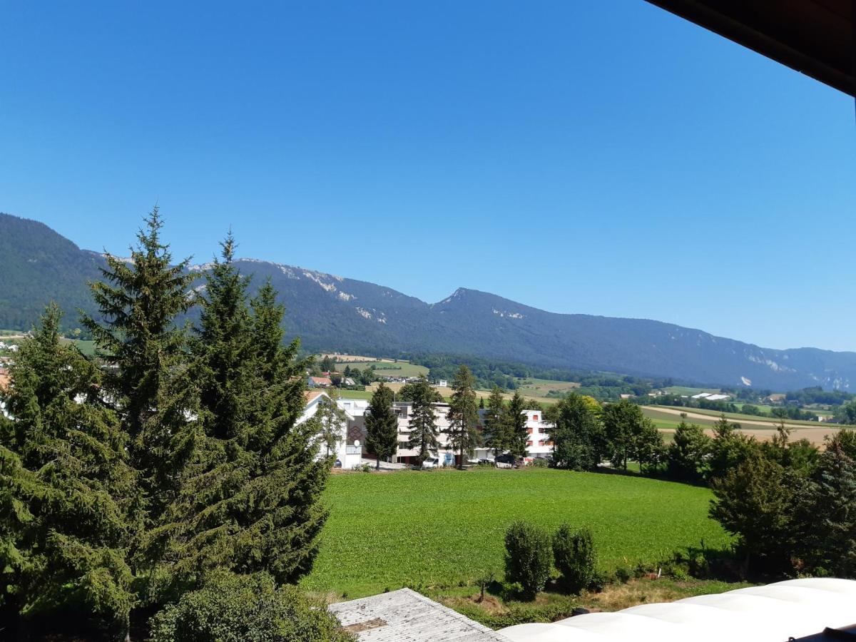 Bettlach Hotel Urs Und Viktor מראה חיצוני תמונה